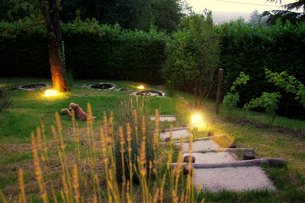 Progetto giardino in collina torinomarta carraro Progettazione giardini torino